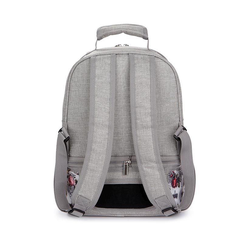 Cooler bag backpack, removable